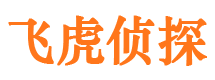 田阳婚外情调查